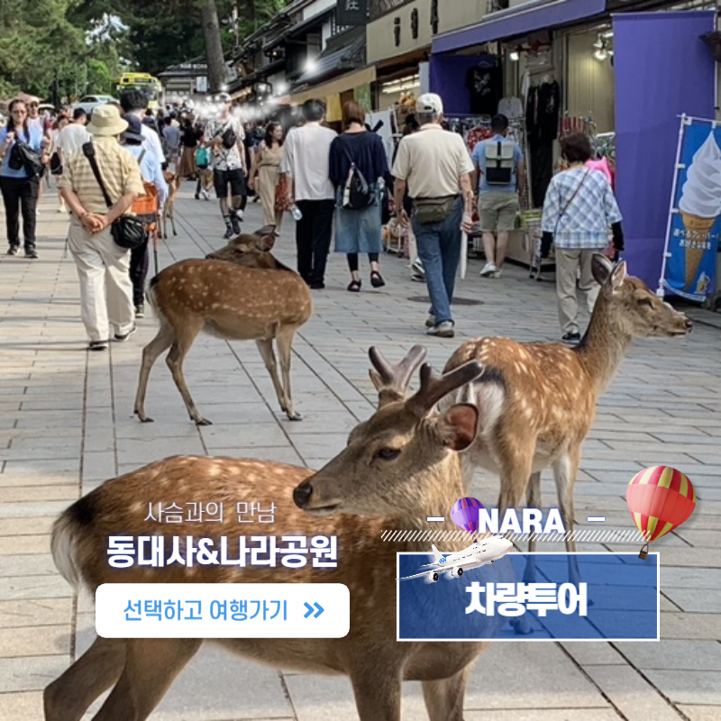 나라 프라이빗 투어/ 단독차량투어 1-DAY